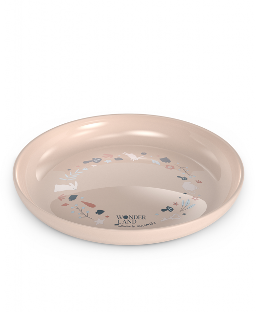 Toddler Feeding Set Pink Plate 01