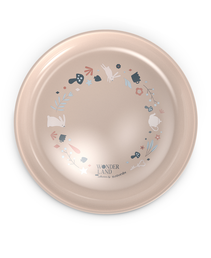 Toddler Feeding Set Pink Plate 02